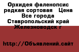 Орхидея фаленопсис редкая сортовая › Цена ­ 800 - Все города  »    . Ставропольский край,Железноводск г.